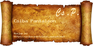 Csiba Pantaleon névjegykártya